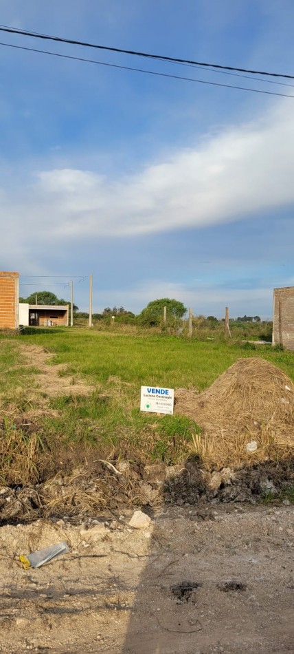  VENTA de TERRENO - DR CARRILLO, SAN BENITO