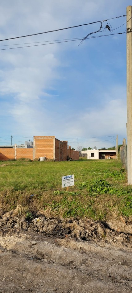  VENTA de TERRENO - DR CARRILLO, SAN BENITO