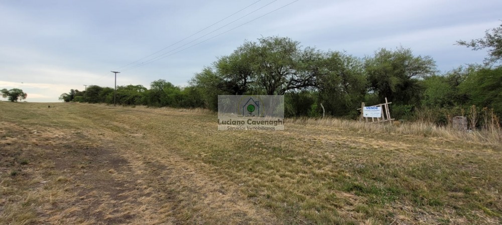 VENTA de CAMPO - RUTA A09, COLONIA NUEVA