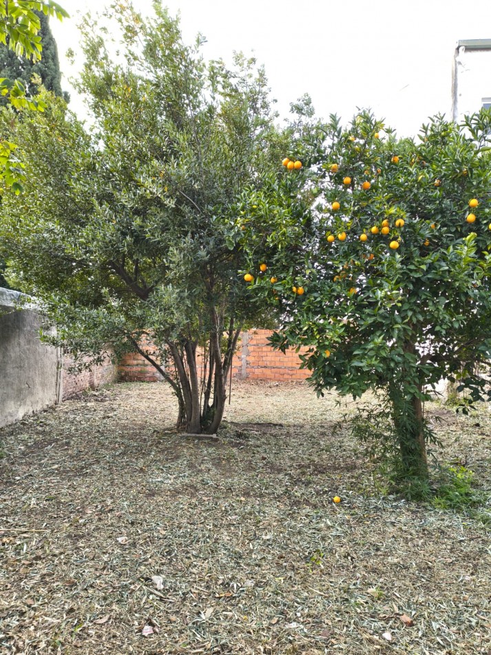 VENTA de TERRENO C/CASA A DEMOLER - EL TALAR, PARANA